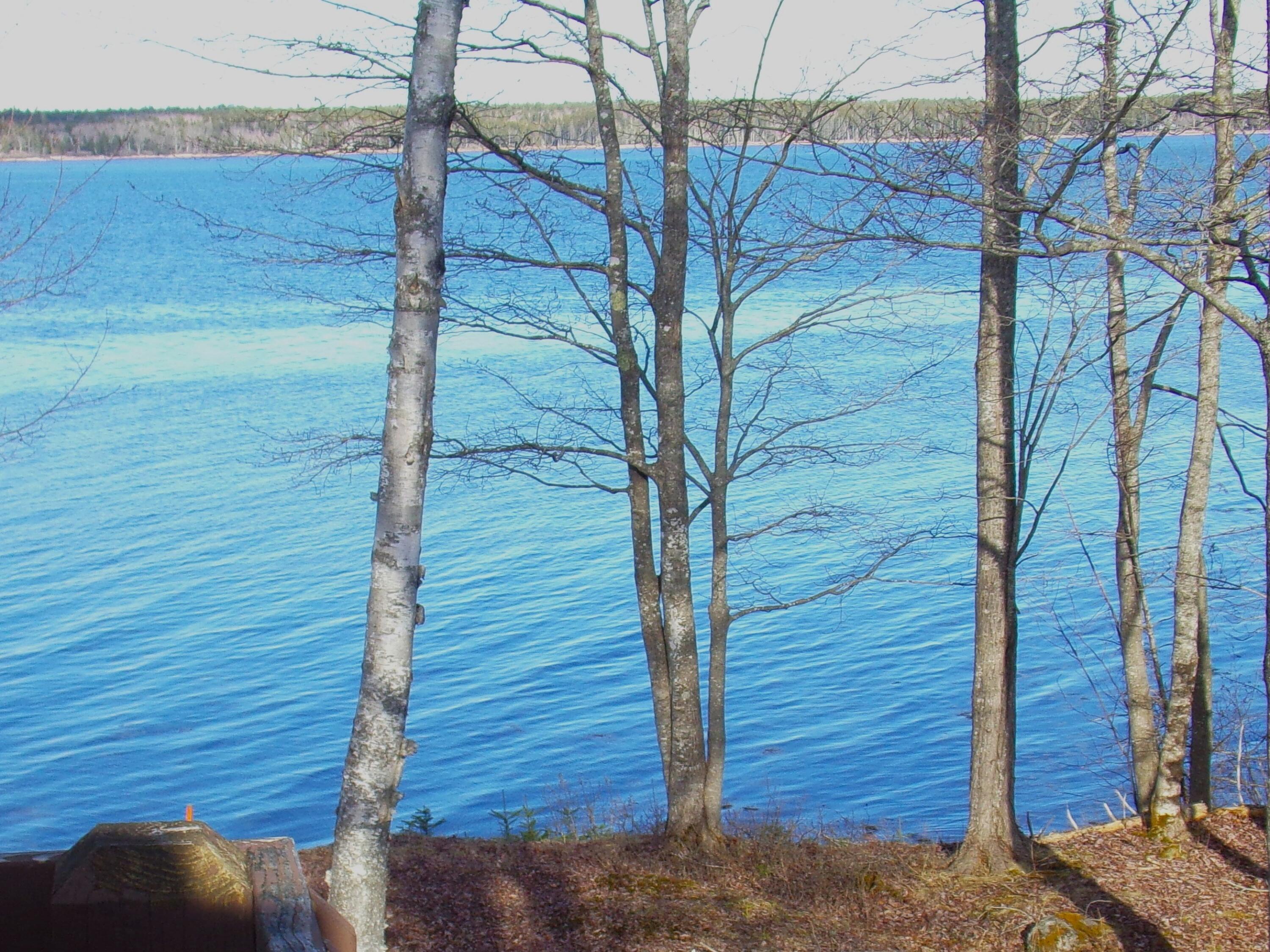 515 Paul Bunyan Road Corea, ME 04624 - Photo 38 of 52