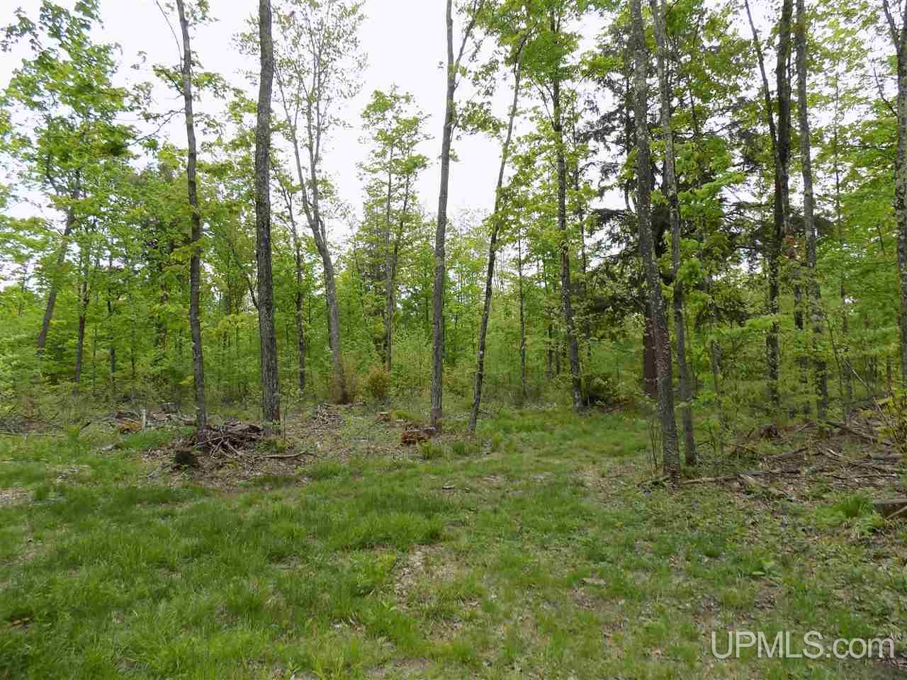 Tbd Slim's Road, Unit PARCEL B Manistique, MI 49854 - Photo 14 of 21