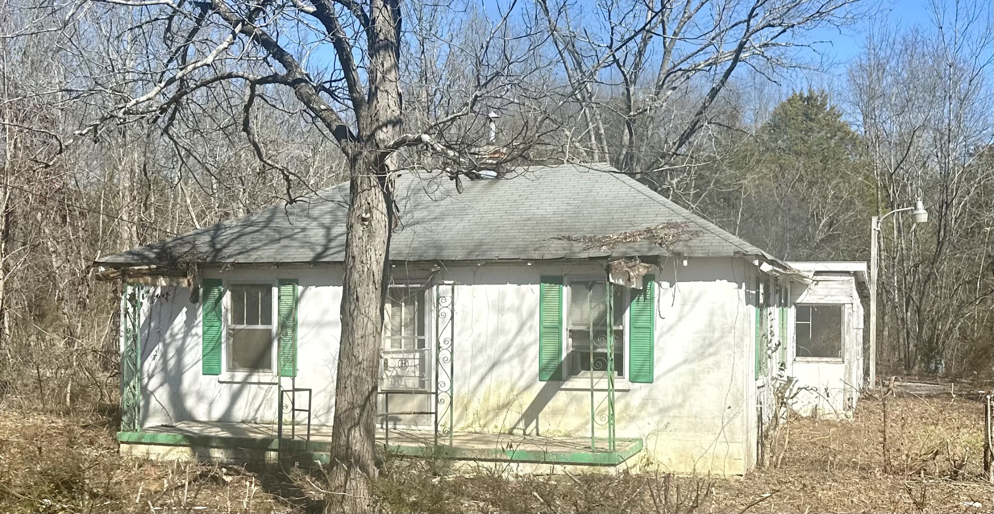 Gallery Image 1