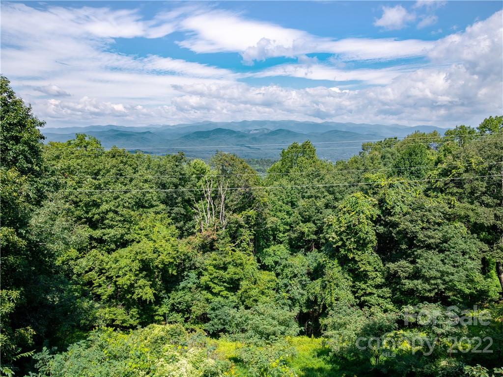 1695 Slick Rock Road Brevard, NC 28712 - Photo 35 of 41 Gallery Image 35