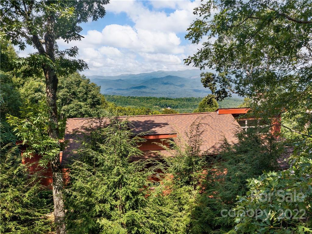 1695 Slick Rock Road Brevard, NC 28712 - Photo 37 of 41 Gallery Image 37