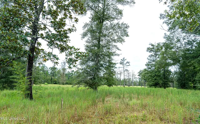 $1,100,000 | 8301 Hwy 57 Vancleave Ms 39565, Vancleave, MS 39565