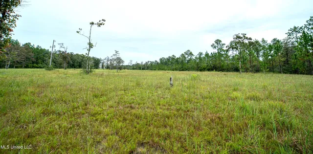 $1,100,000 | 8301 Hwy 57 Vancleave Ms 39565, Vancleave, MS 39565