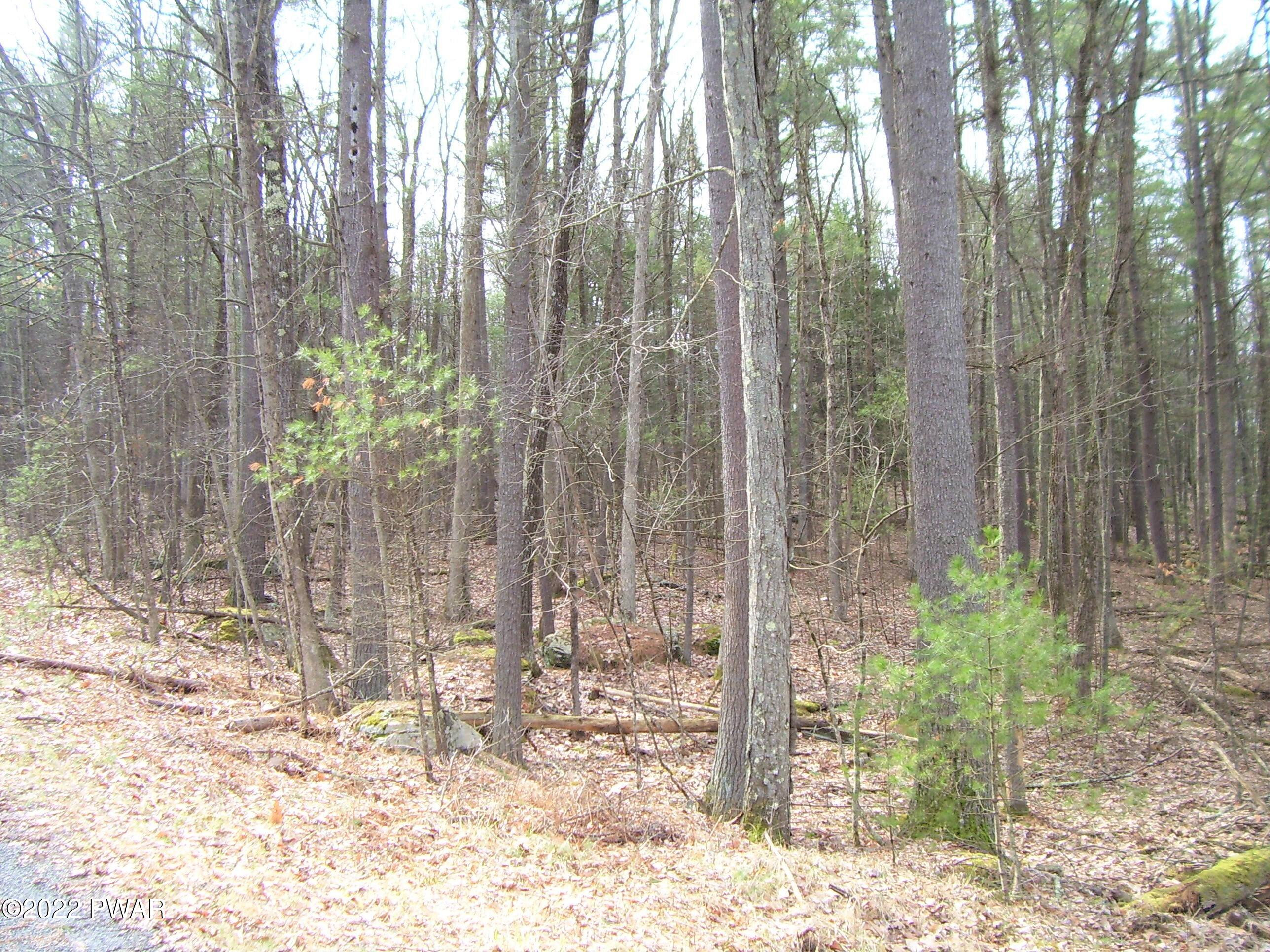 Lot 402 Creek Road Hawley, PA 18428 - Photo 6 of 17