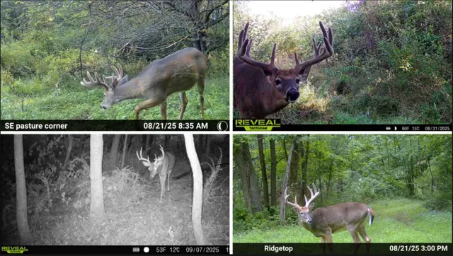 $435,500 | 0 Berry Hill Drive, Richland Center, WI 53581