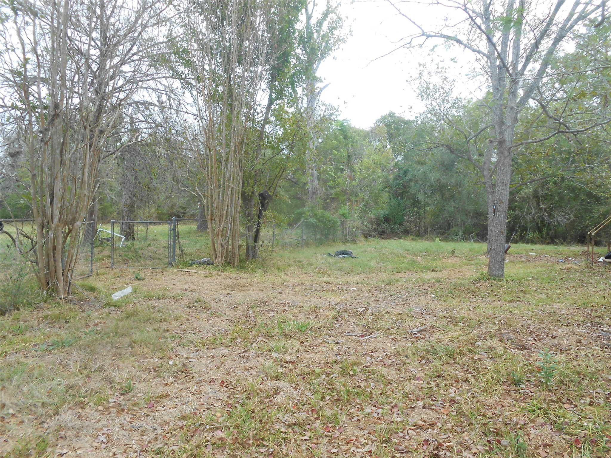 1118 Elberta Street Houston, TX 77051 - Photo 2 of 6 a view of a forest with trees in the background
