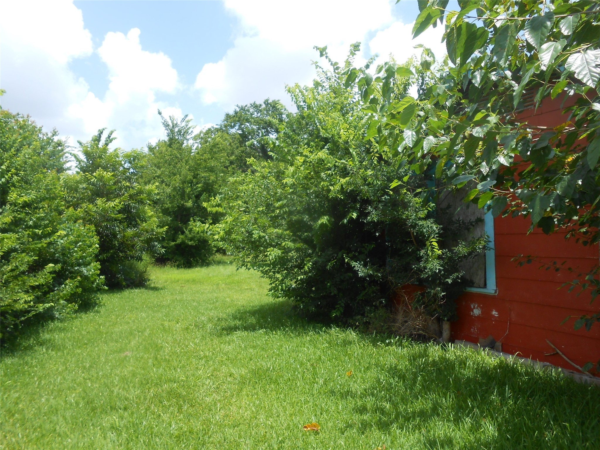 1118 Elberta Street Houston, TX 77051 - Photo 4 of 6 a view of an outdoor space and a yard