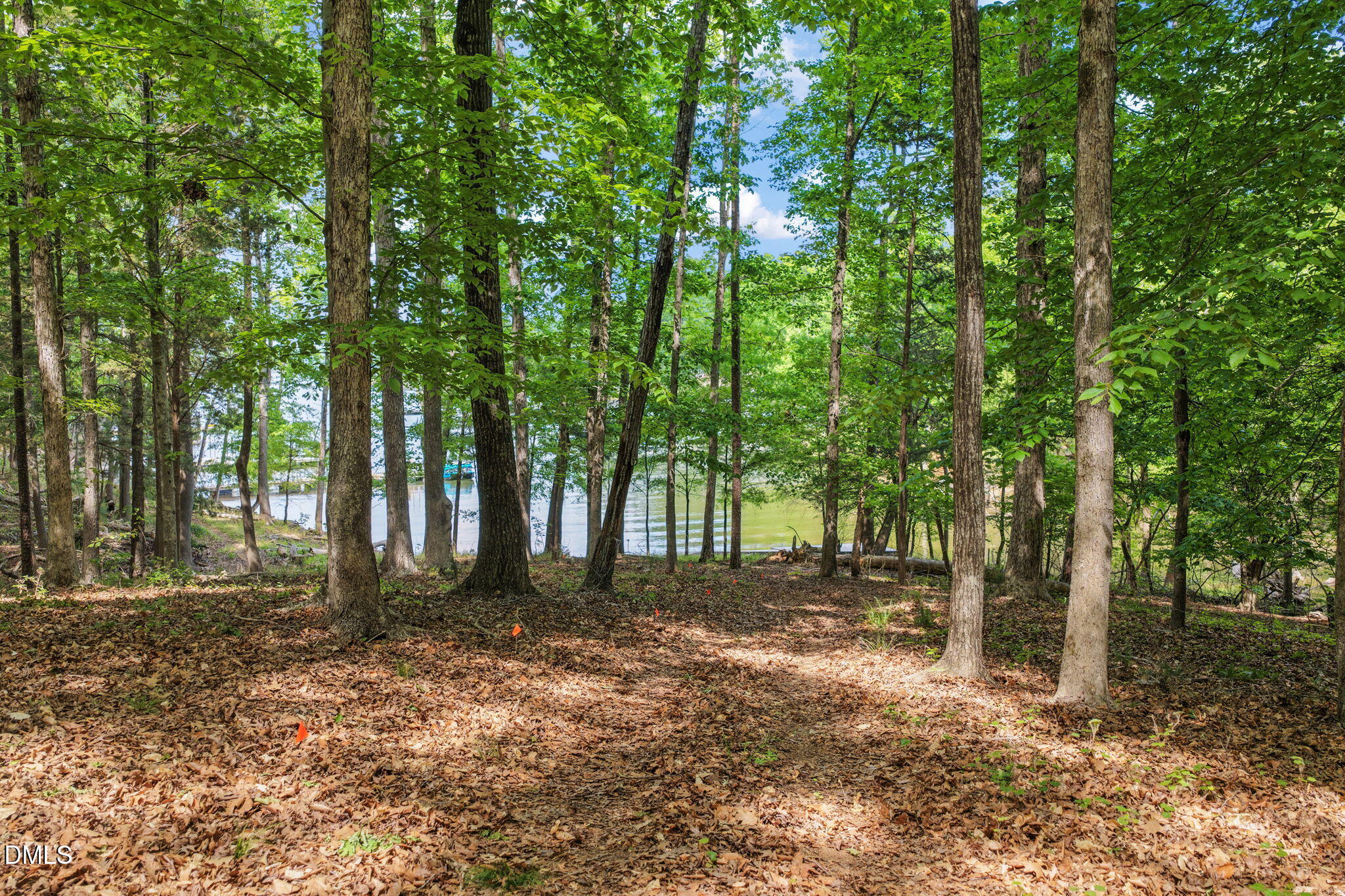 399 Lewis Road Clarksville, VA 23927 - Photo 24 of 46 12-web-or-mls-untitled-1-2
