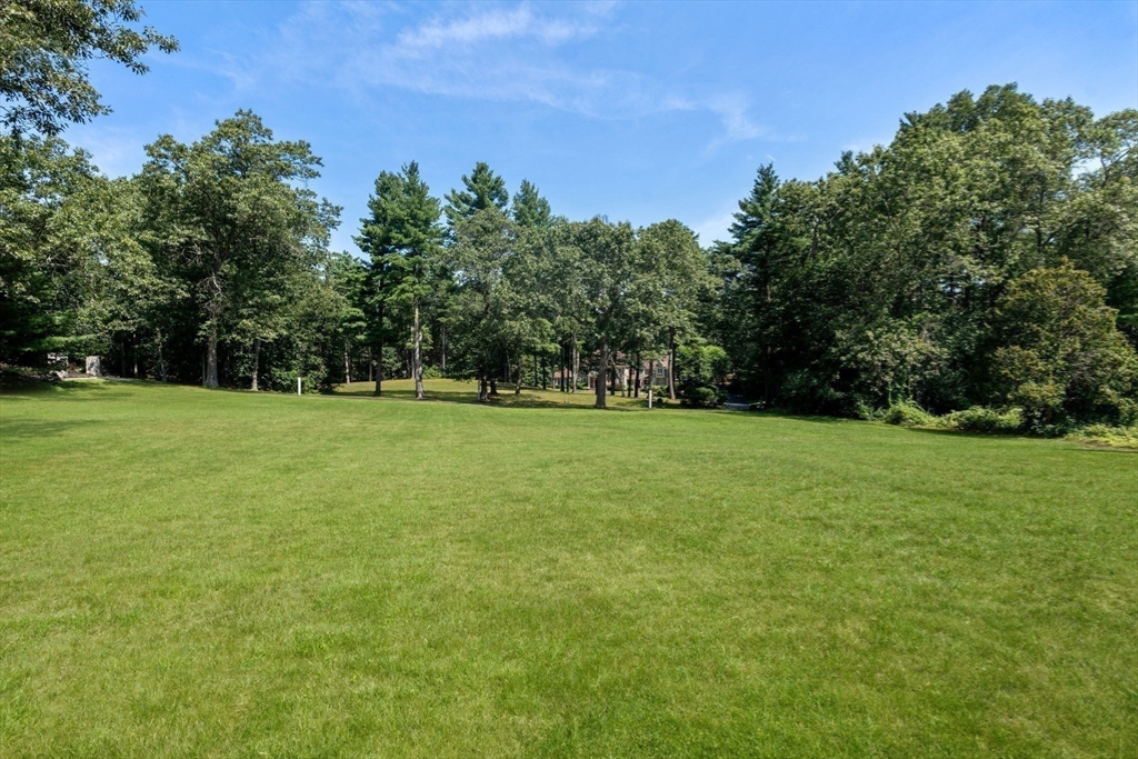 137 Lake Street Sherborn, MA 01770 - Photo 41 of 42 a view of a grassy field with trees