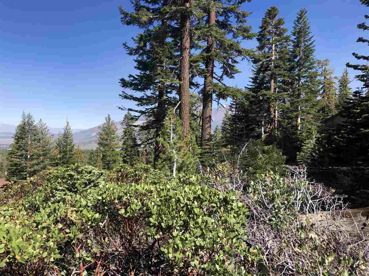 317 John Muir Road Mammoth Lakes, CA 93546 - Photo 1 of 5