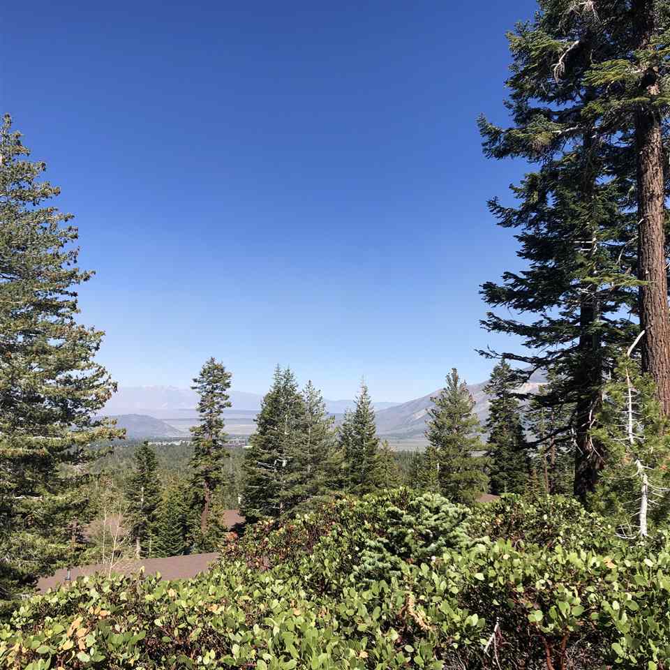 317 John Muir Road Mammoth Lakes, CA 93546 - Photo 3 of 5