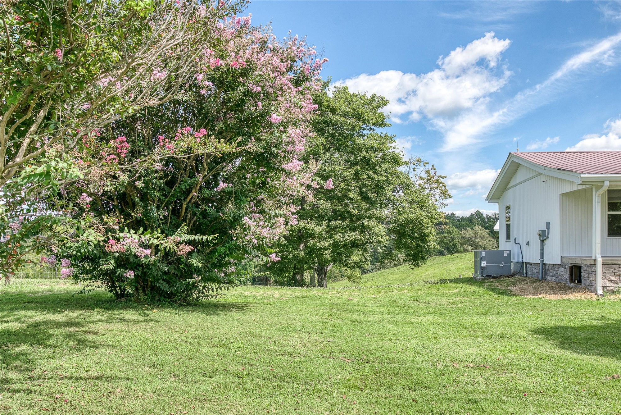 806 Robinson Ridge Road Baxter, TN 38544 - Photo 5 of 36 a backyard of a house with lots of green space