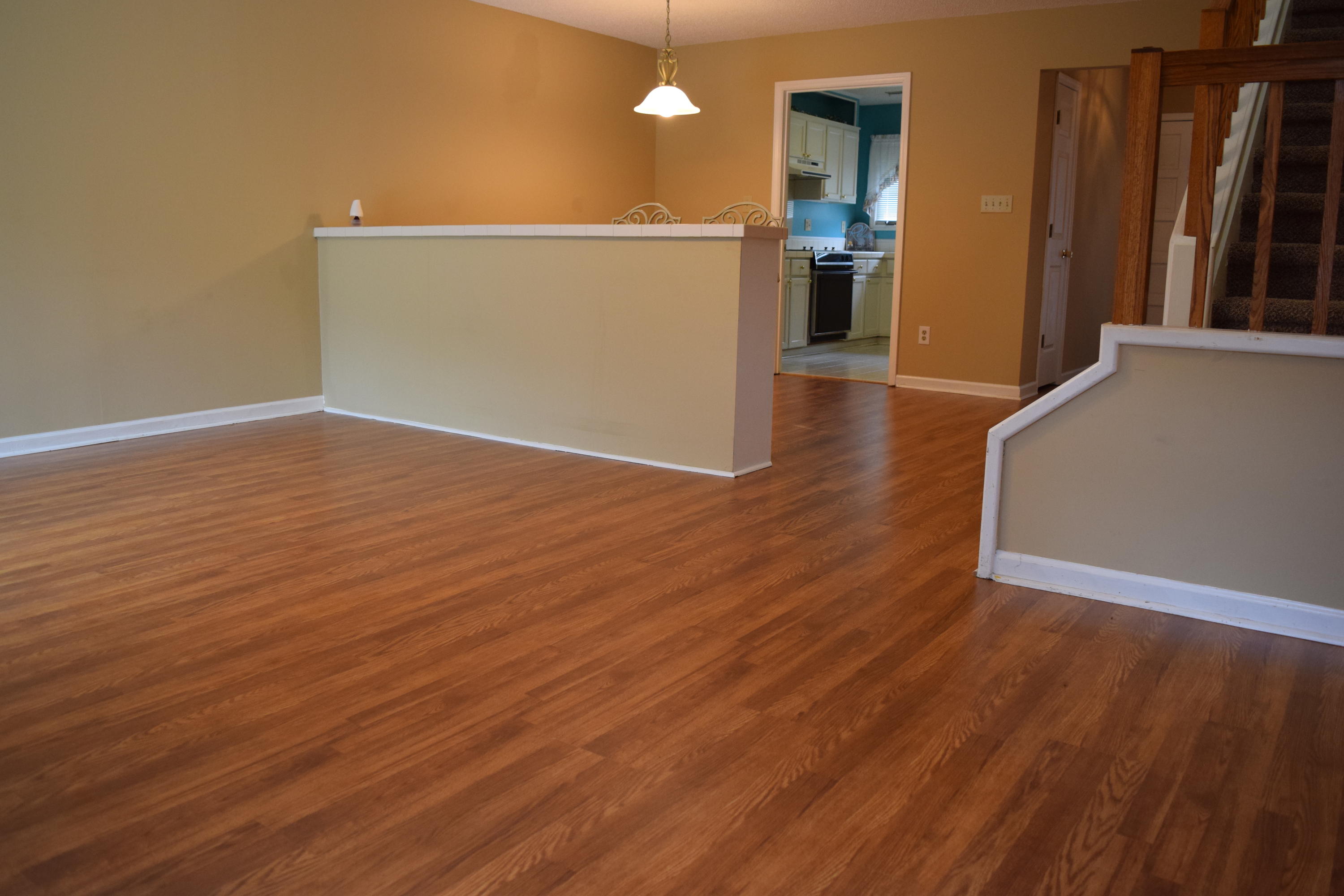902 Crawford Creek, Unit 902 Rockingham, NC 28379 - Photo 5 of 17 DSC_0709