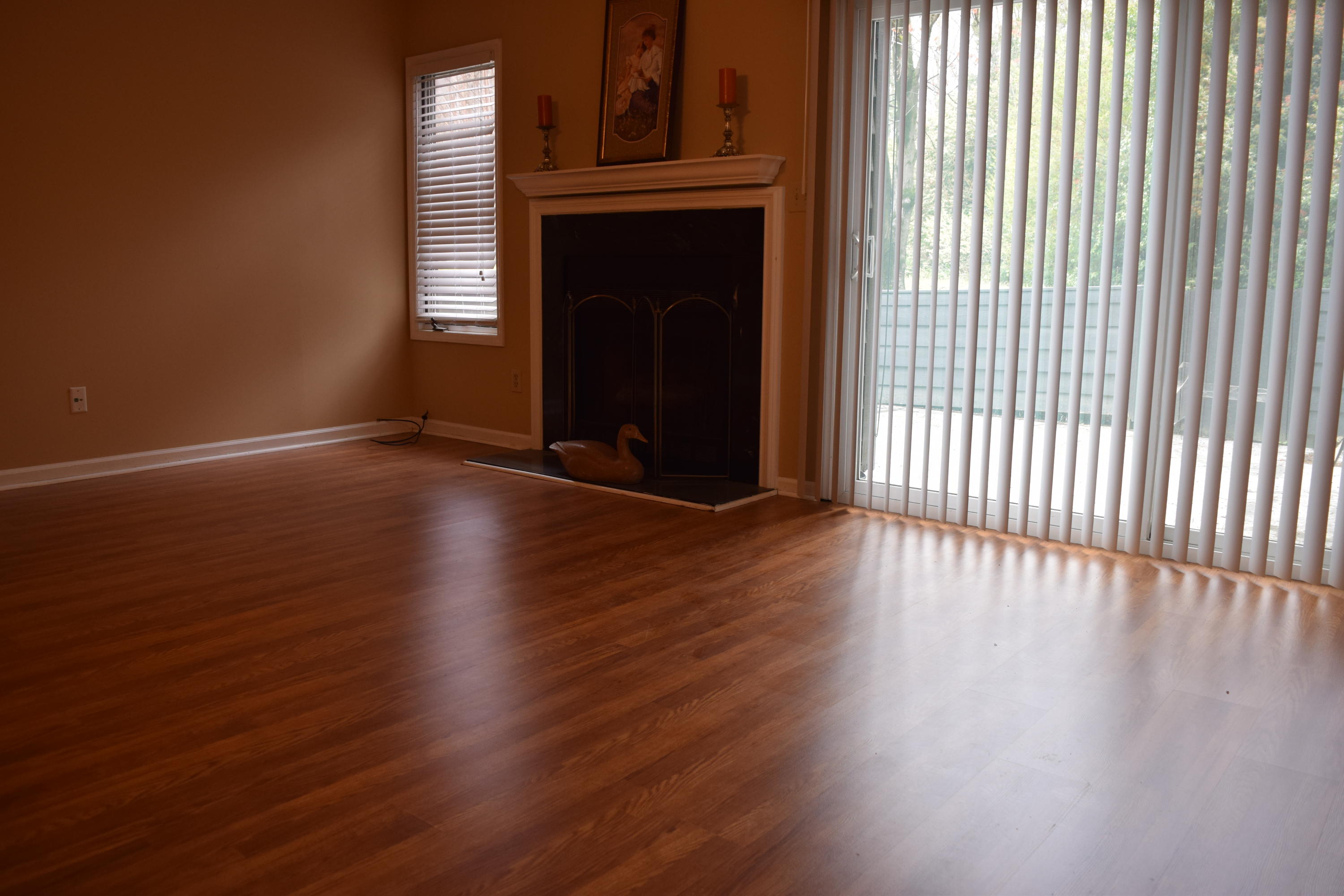 902 Crawford Creek, Unit 902 Rockingham, NC 28379 - Photo 6 of 17 DSC_0710