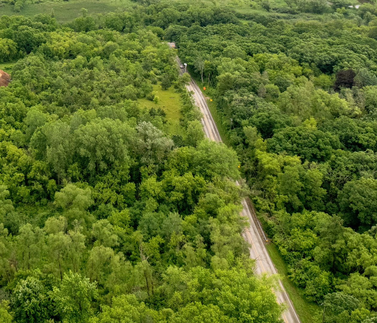Lot 0 Sunset Road Spring Grove, IL 60081 - Photo 8 of 10 a view of a forest