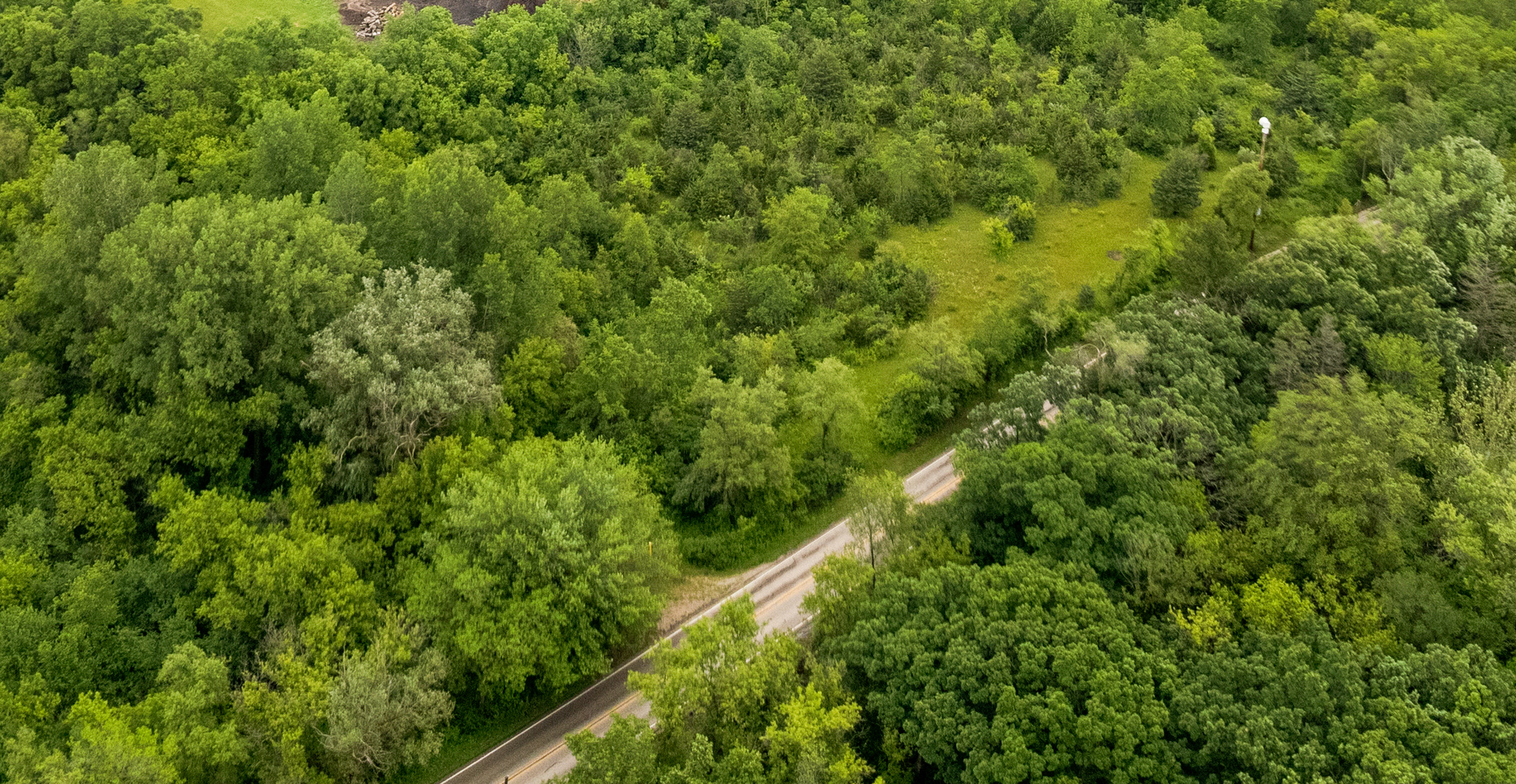 Lot 0 Sunset Road Spring Grove, IL 60081 - Photo 9 of 10 a view of a lush green forest