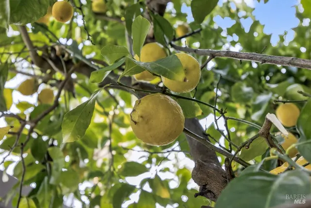 $435,000 | 1330 Blackberry Court, Dixon, CA 95620