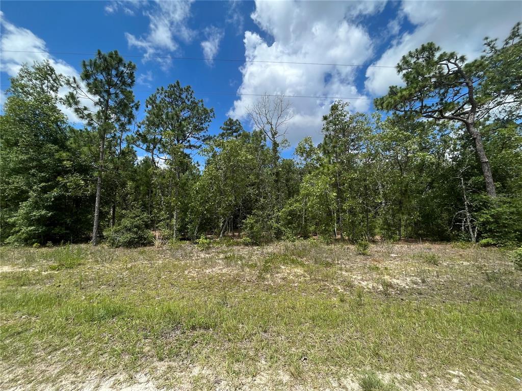 6327 Reed Drive Keystone Heights, FL 32656 - Photo 1 of 1