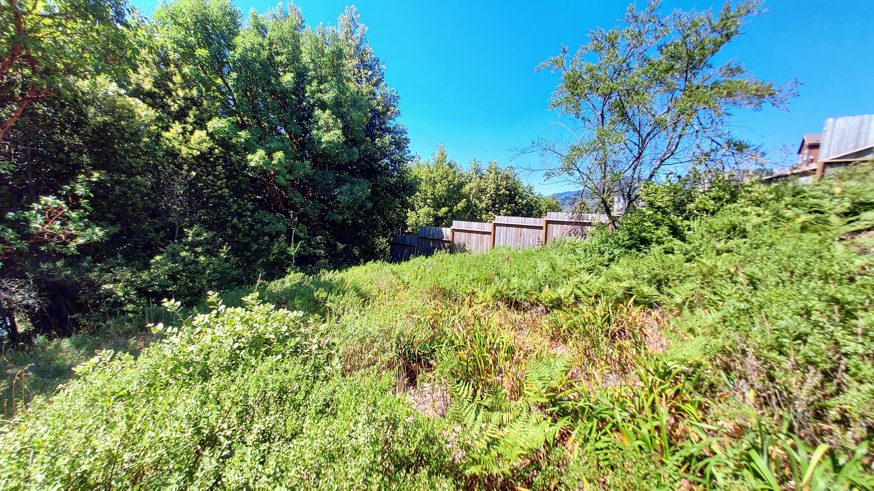 27 Cook Road Shelter Cove, CA 95589 - Photo 6 of 22