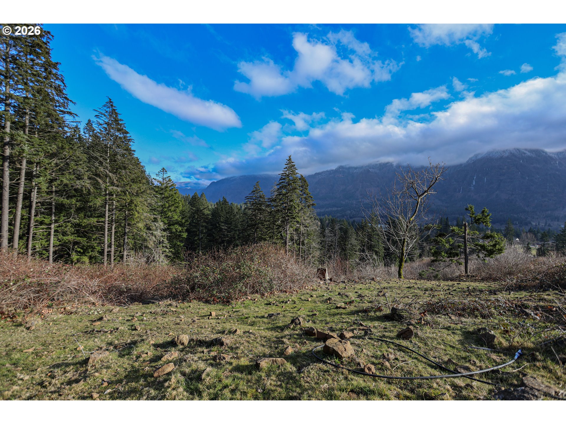562 Woodard Creek Road Stevenson, WA 98648 - Photo 14 of 33