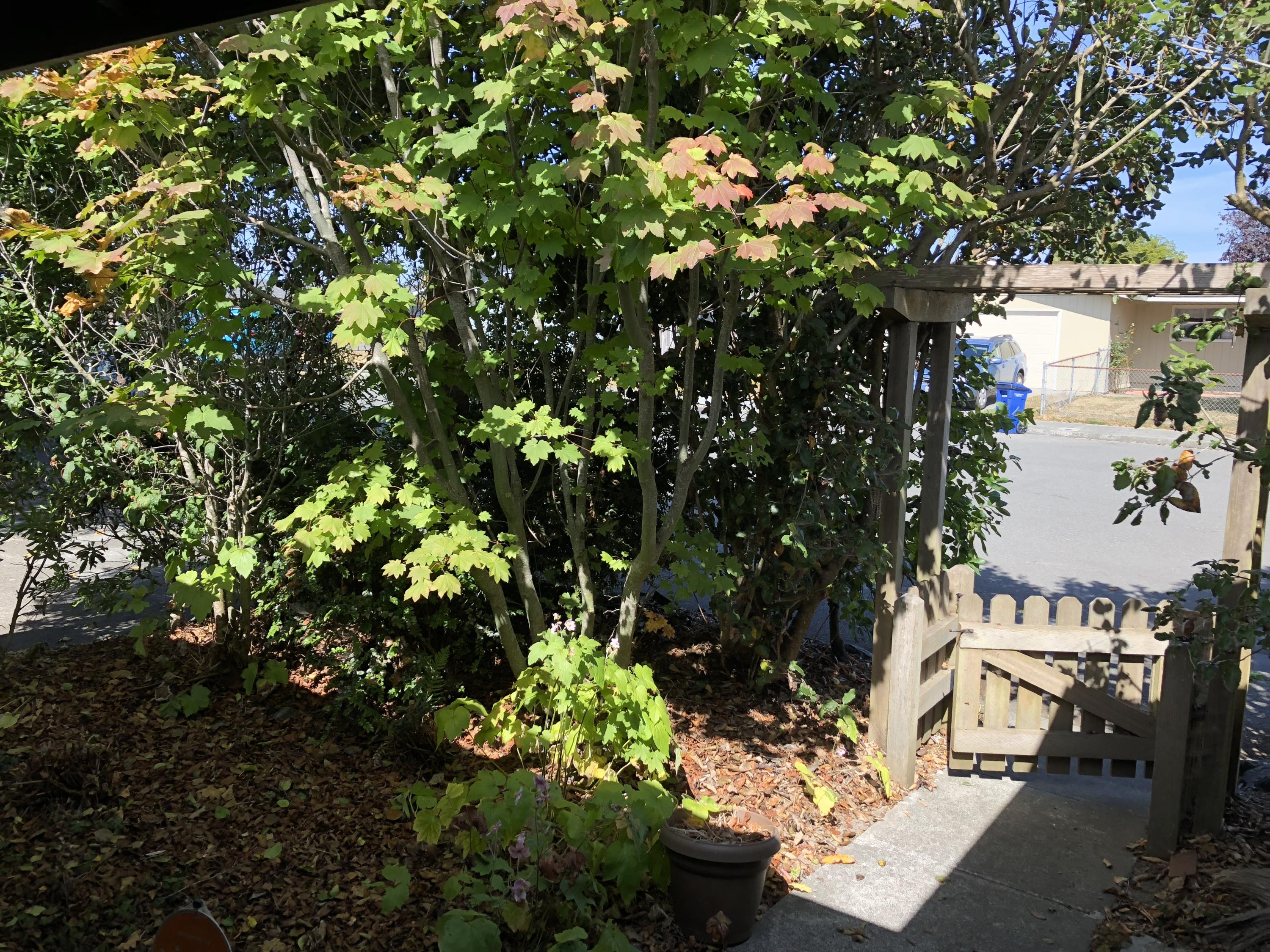 2149 Haeger Avenue Arcata, CA 95521 - Photo 24 of 26