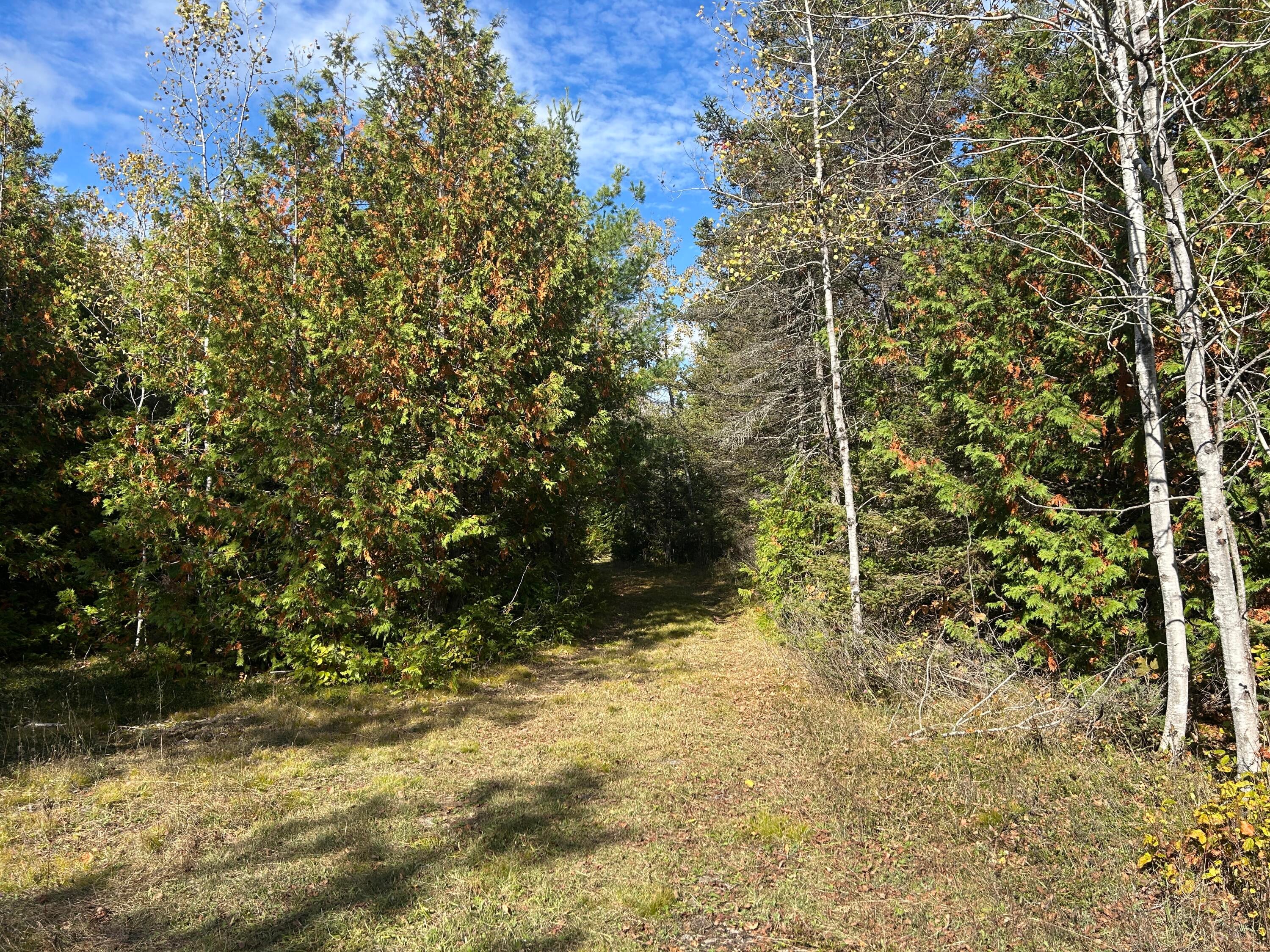 V/l Dubey Road Alpena, MI 49707 - Photo 1 of 12 Property