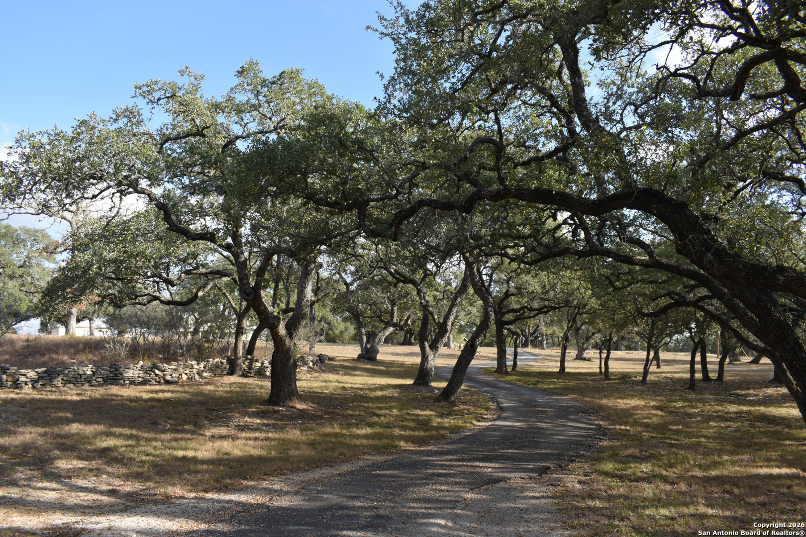32010 Oak Ridge Parkway Bulverde, TX 78163 - Photo 3 of 48 a view of a trees with yard
