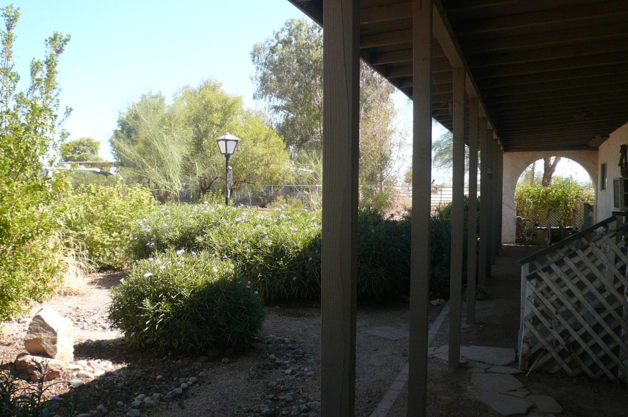 VIEW FROM BACK PORCH