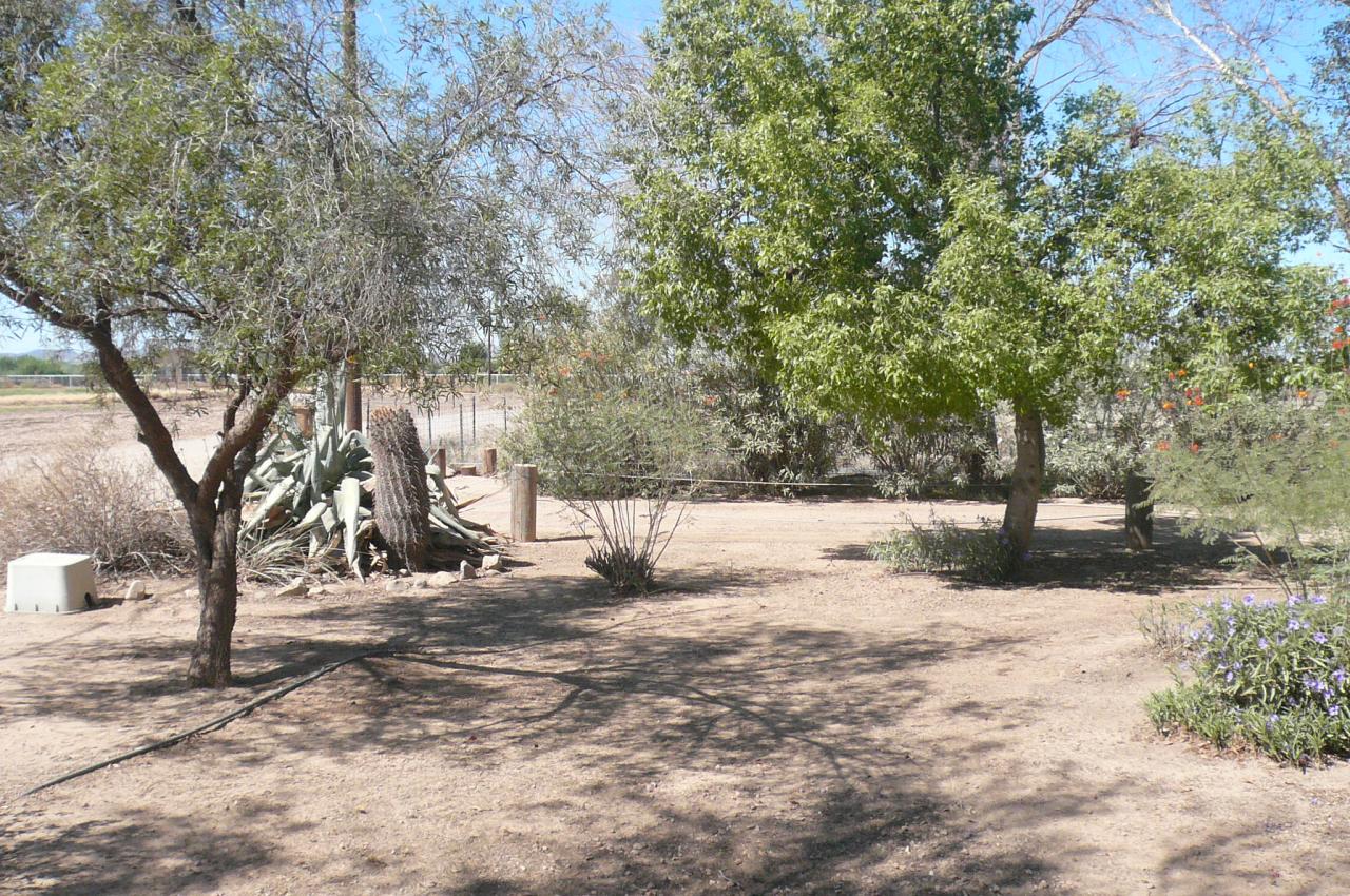 FRONT YARD