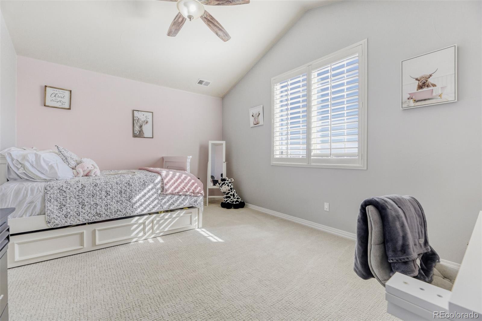 5591 Rim View Place Parker, CO 80134 - Photo 29 of 50