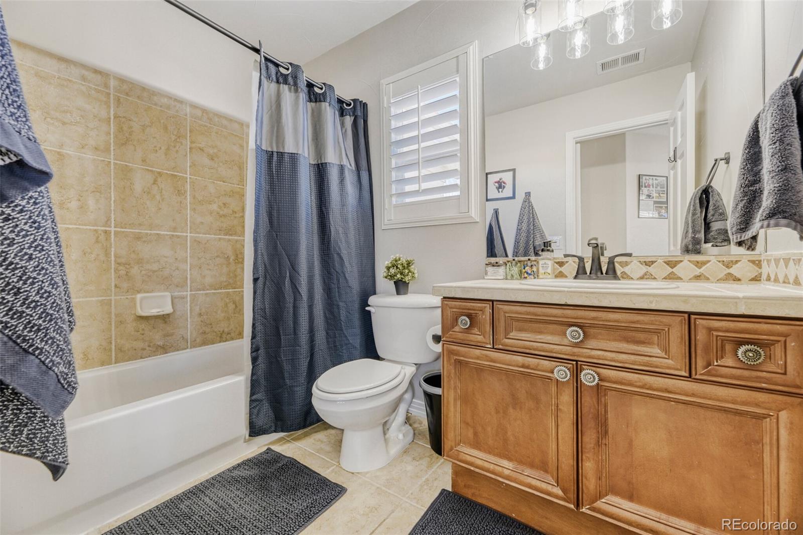 5591 Rim View Place Parker, CO 80134 - Photo 34 of 50