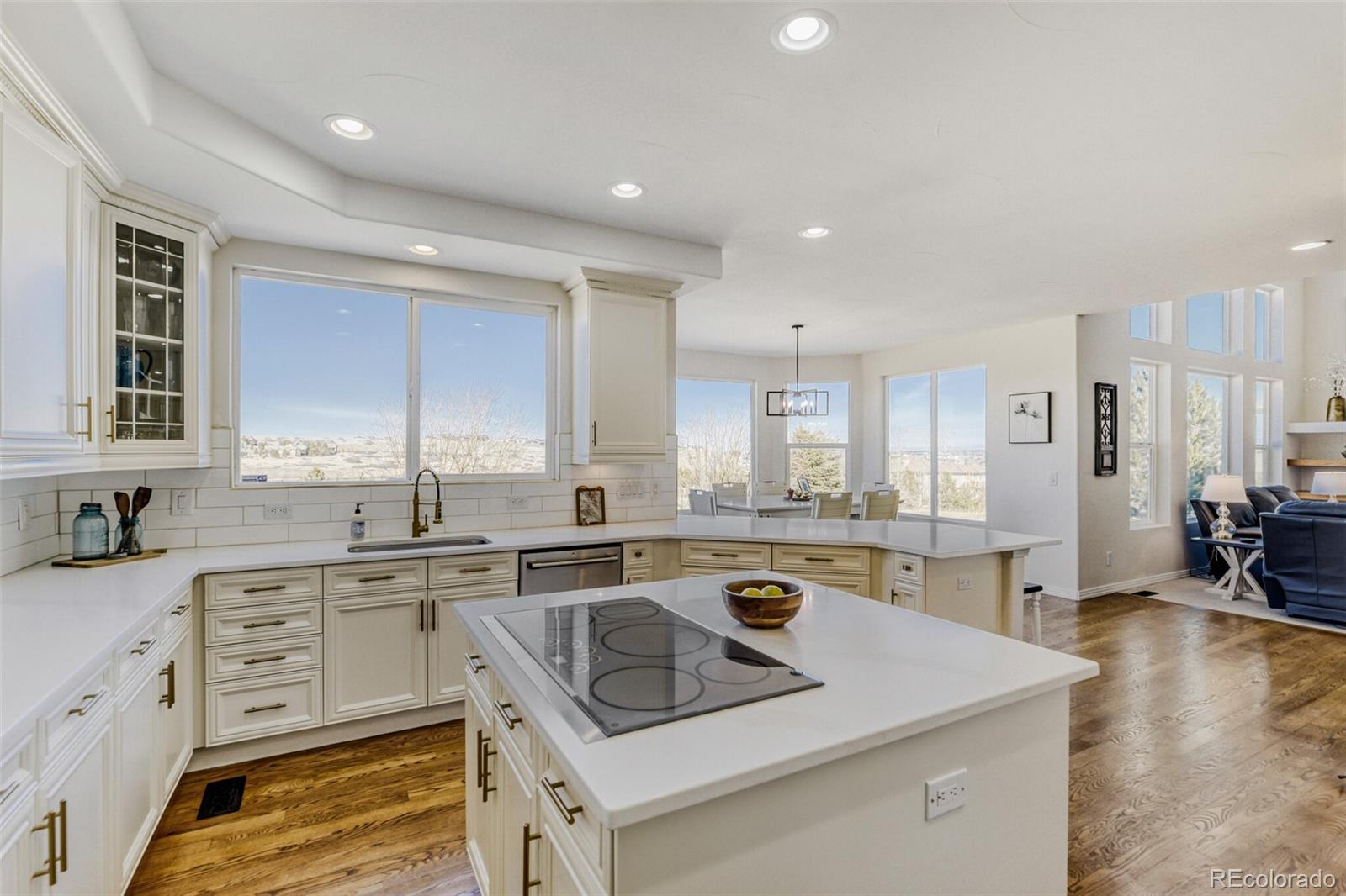 5591 Rim View Place Parker, CO 80134 - Photo 10 of 50