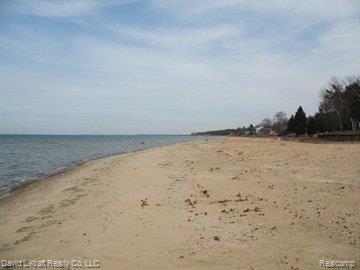 5176 Port Austin Road Caseville, MI 48725 - Photo 4 of 20 Gorgeous sandy beach