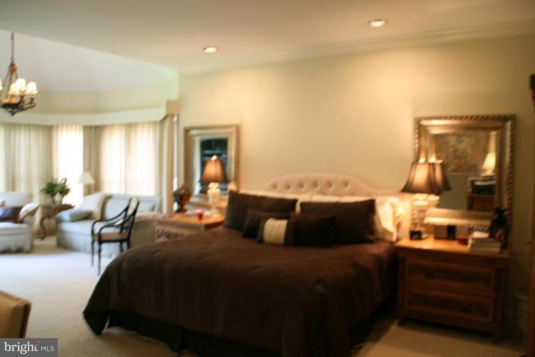 3602 Jackson Cabin Road Phoenix, MD 21131 - Photo 4 of 8 Master Bedroom