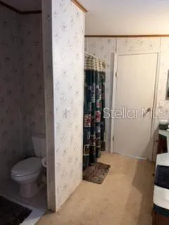 a bathroom with a shower toilet and sink