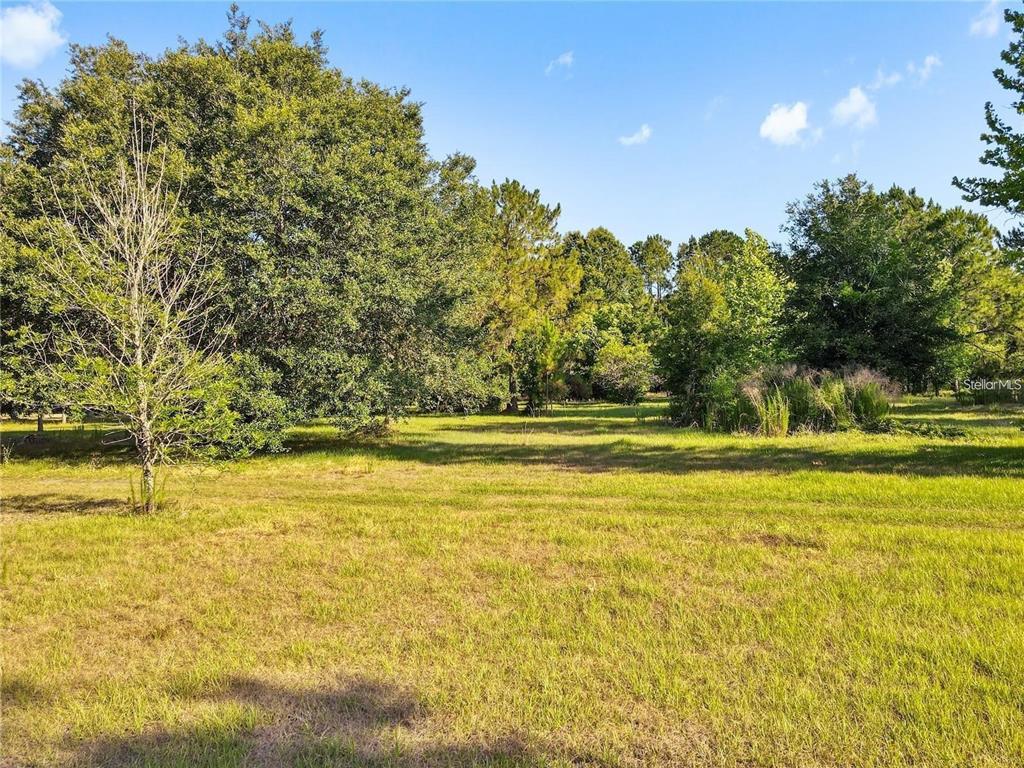 13921 Pine Meadow Road Kathleen, FL 33849 - Photo 23 of 25 a view of an ocean view