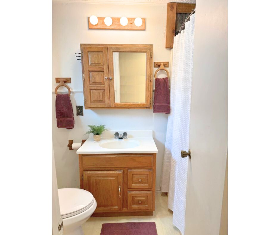 409 Moffett Springs Road Huntsville, TX 77320 - Photo 21 of 25 a bathroom with a toilet sink and mirror