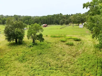 a view of a lush green space