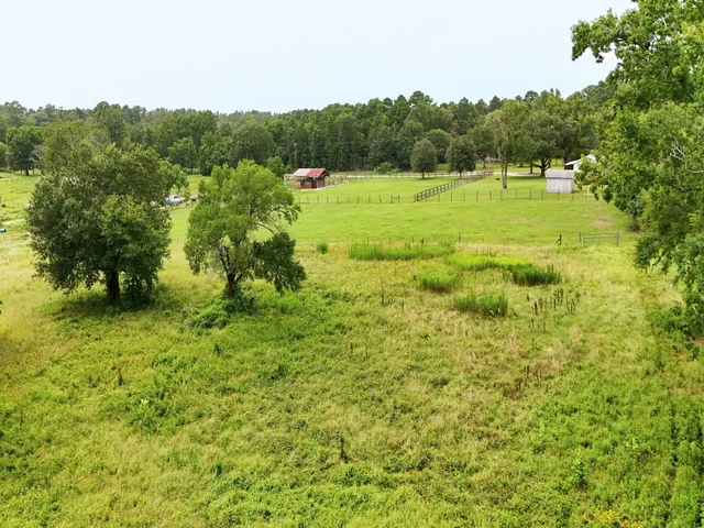 a view of a lush green space