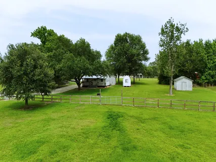 a view of a park with large trees