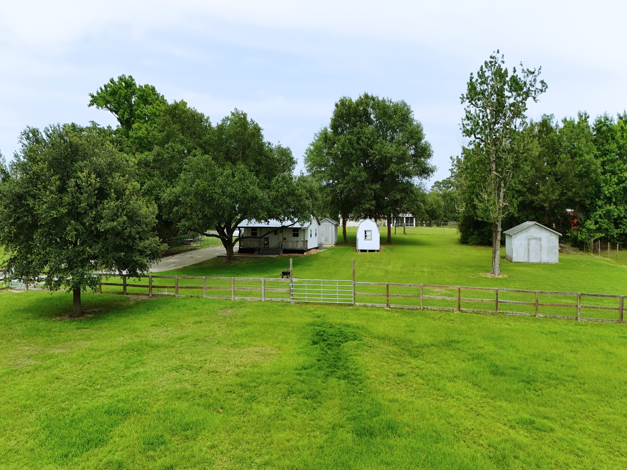 409 Moffett Springs Road Huntsville, TX 77320 - Photo 5 of 25 a view of a park with large trees