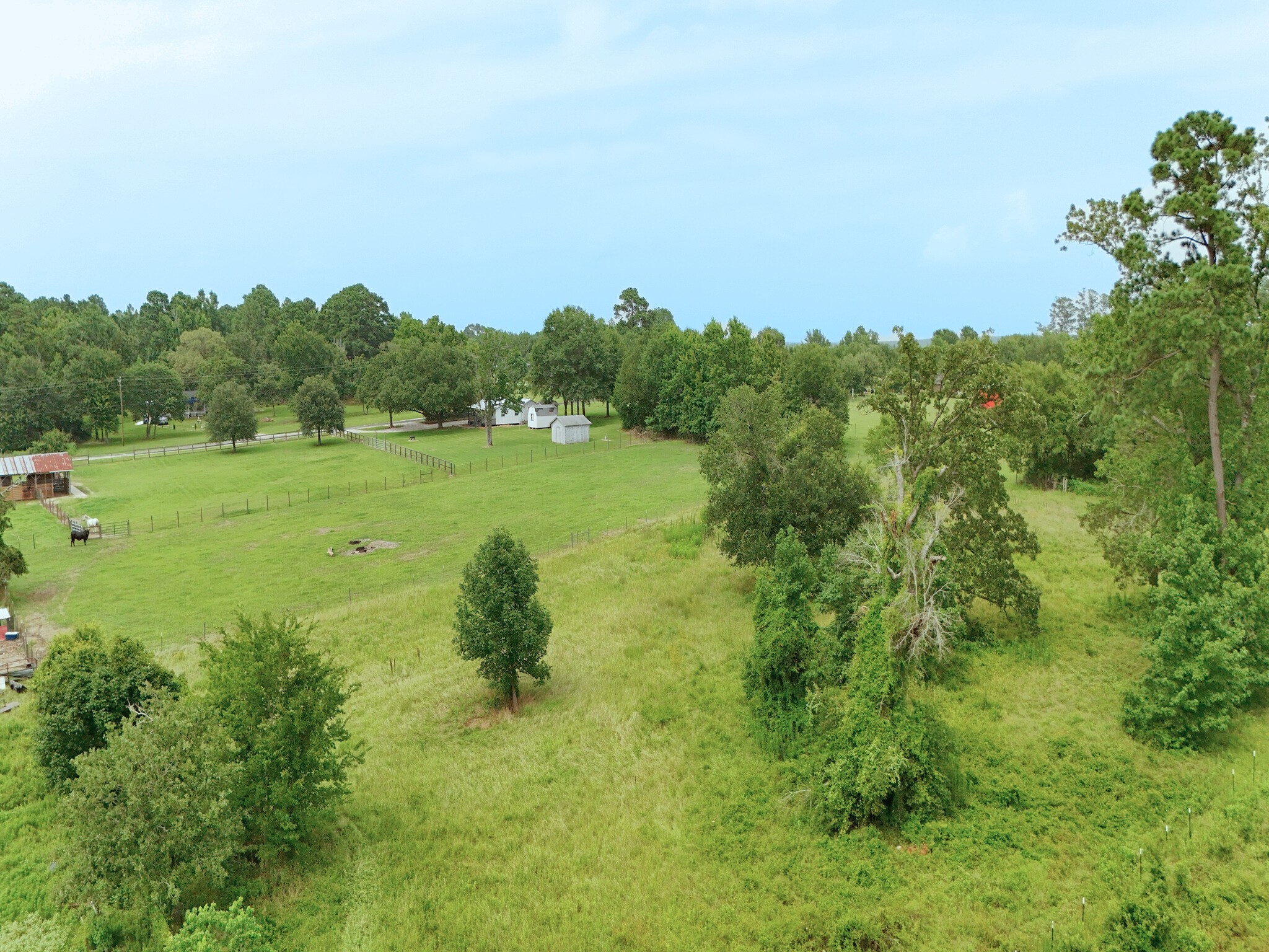 409 Moffett Springs Road Huntsville, TX 77320 - Photo 8 of 25 a yard with lots of green space