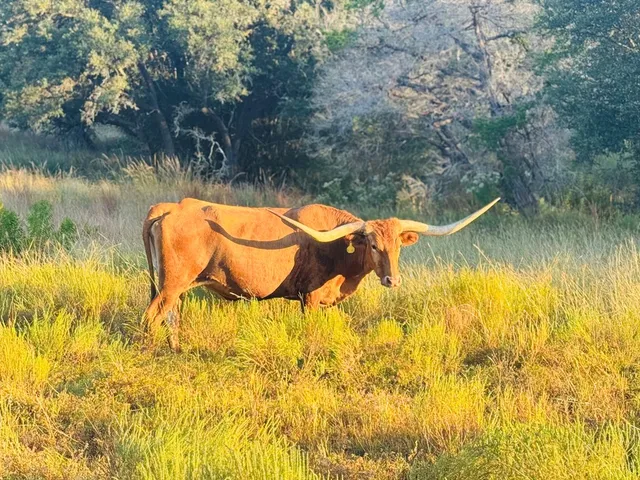 a view of a swimming pool with a lake view