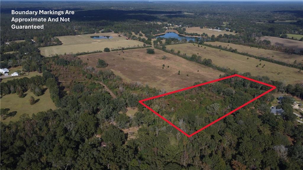 7-acres Heintz Sharp Road Covington, LA 70435 - Photo 3 of 3 Gallery Image 3