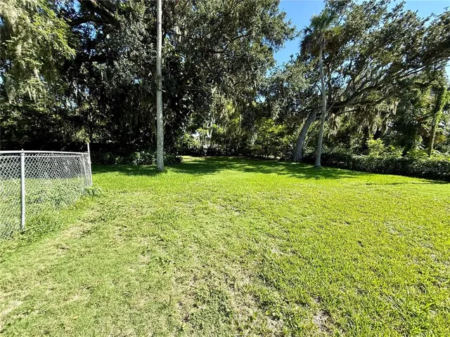 a view of a park with a tree