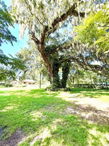 a view of a field with trees
