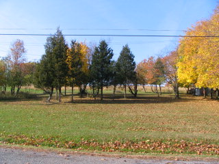 0 Hall Road Dundee, NY 14837 - Photo 1 of 1