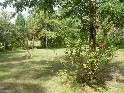 1641 Cotton Patch Road Southwest Shallotte, NC 28470 - Photo 5 of 14 Additional Photo