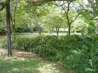 1641 Cotton Patch Road Southwest Shallotte, NC 28470 - Photo 6 of 14 Additional Photo