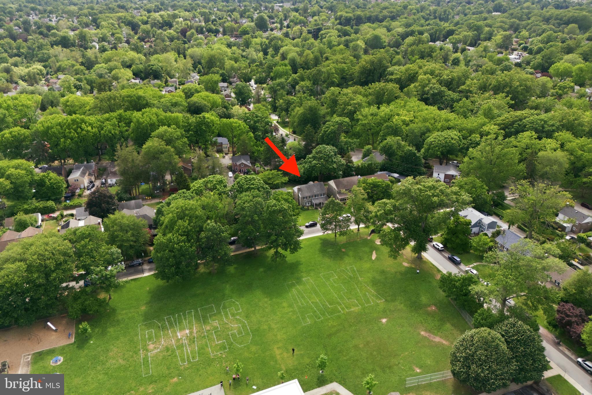 284 Trent Road Wynnewood, PA 19096 - Photo 24 of 31 a view of a garden
